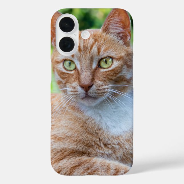 Sweet little kitty Case-Mate iPhone case (Back)