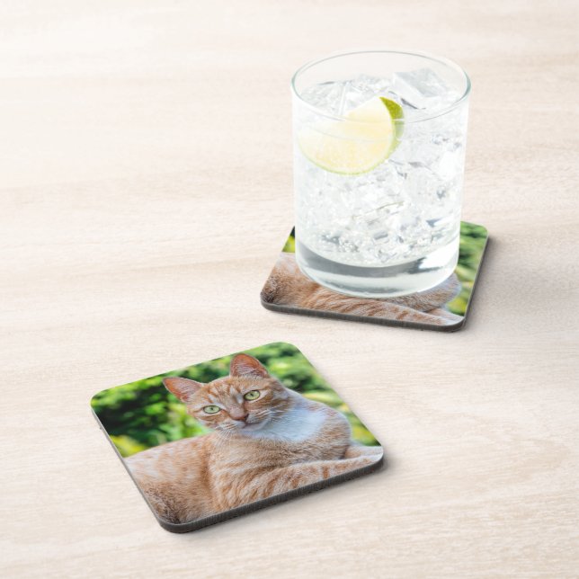 Sweet little kitty coaster (Right Side)