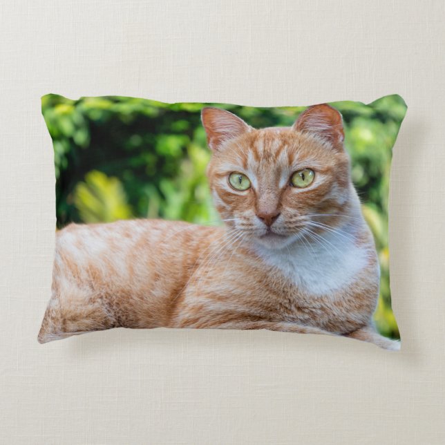 Sweet little kitty decorative cushion (Back)