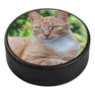 Sweet little kitty hockey puck