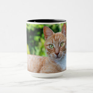 Sweet little kitty mug