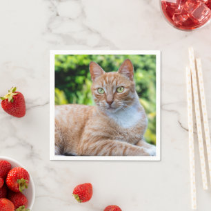 Sweet little kitty napkin