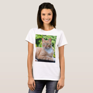 Sweet little kitty T-Shirt