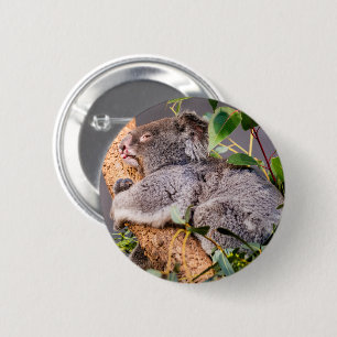 Sweet little koala 6 cm round badge