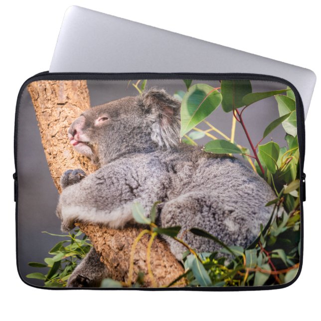 Sweet little koala laptop sleeve (Front)