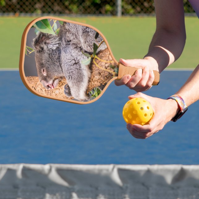 Sweet little koala pickleball paddle (Insitu)