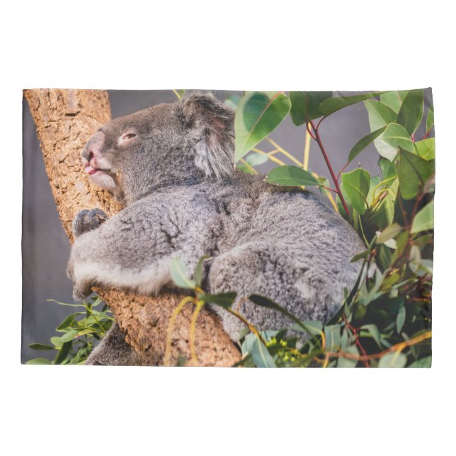 Sweet little koala pillowcase (Back)