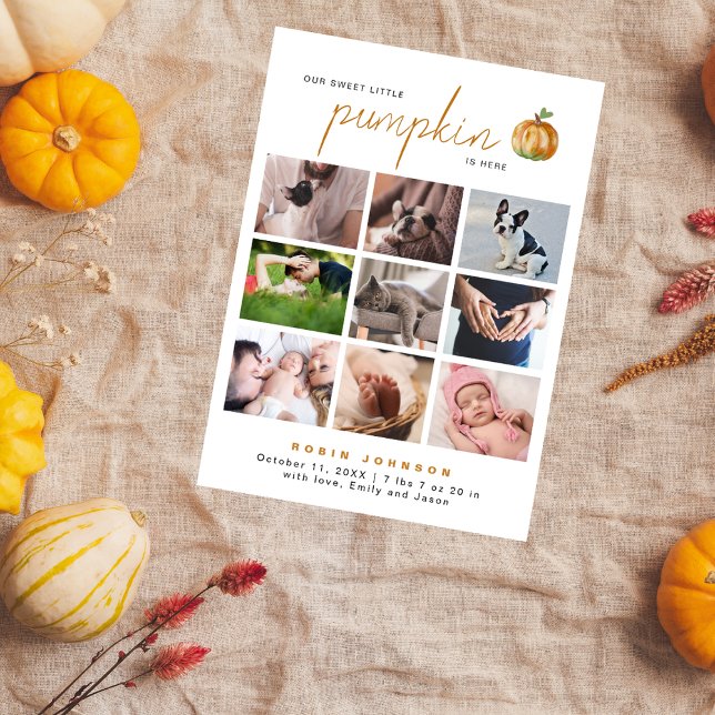 Sweet Little Pumpkin 9 Photo Collage Baby Shower Thank You Card (Creator Uploaded)