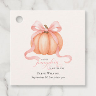 Sweet Little pumpkin pink bow is on the way Favour Tags