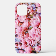 Sweet Magnolia - Spring is here