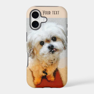 Sweet Malshi