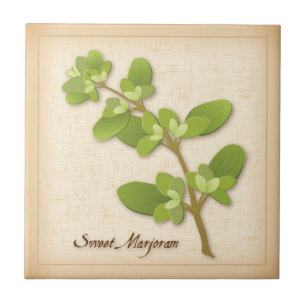 Sweet Marjoram Herb Tile