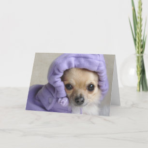 Sweet Minx greeting card (in text)