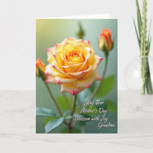 Sweet Mothers Rose Bloom Card