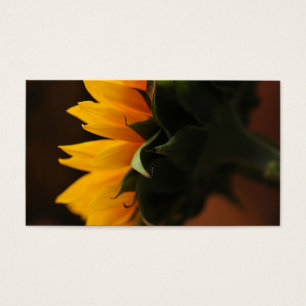 Sweet note (sunflower)