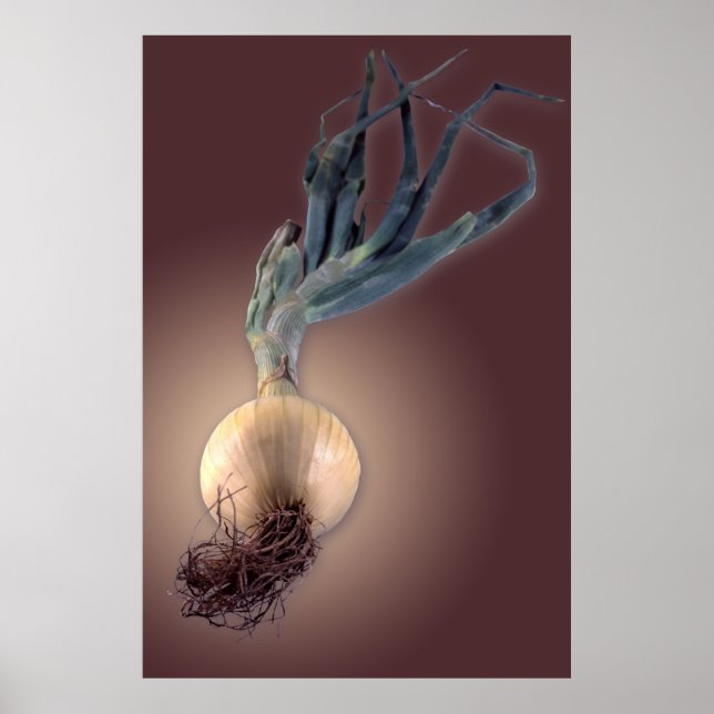 Sweet Onion Poster (Front)