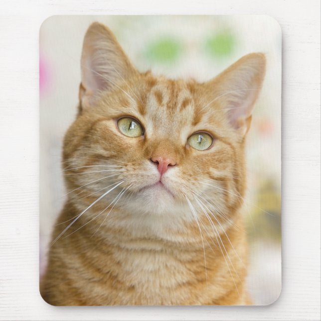 Sweet Orange Tabby Cat Mouse Pad (Front)