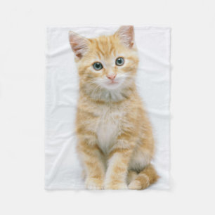 Sweet Orange Tabby Fleece Blanket