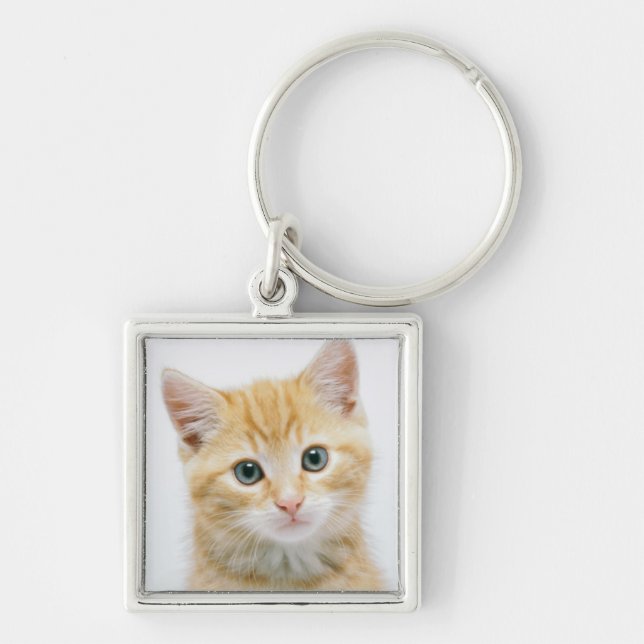 Sweet Orange Tabby Key Ring (Front)