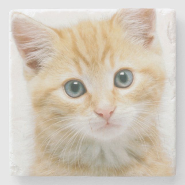 Sweet Orange Tabby Stone Coaster (Front)