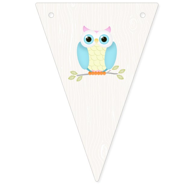 Sweet Owl Birthday Bunting (Sixteenth Flag)