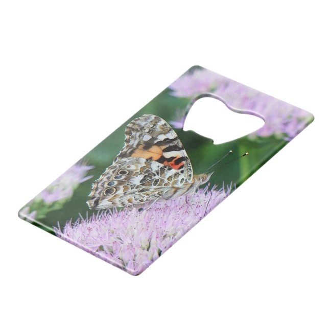 Sweet Painted Lady (Front Angled)