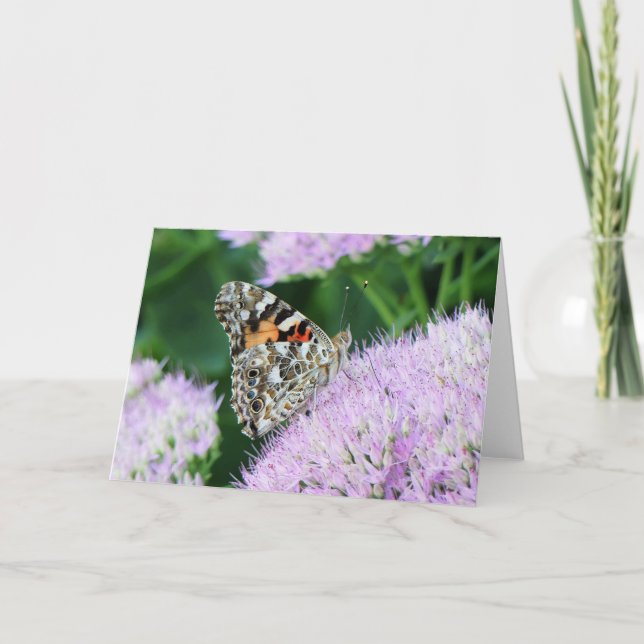 Sweet Painted Lady Card (Front)