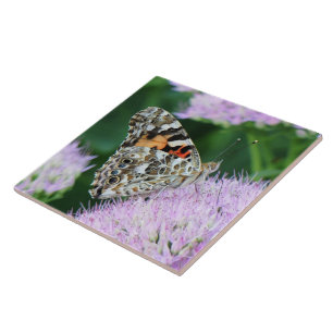 Sweet Painted Lady Tile