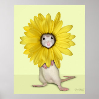 Sweet Pea Blossoming Poster