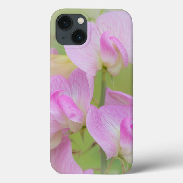 Sweet Pea Blossoms | Seabeck, WA Case-Mate iPhone Case (Back)