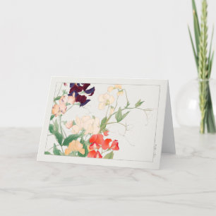 Sweet pea by Tanigami Konan Card