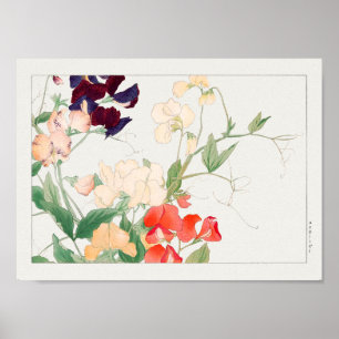 Sweet pea by Tanigami Konan Poster
