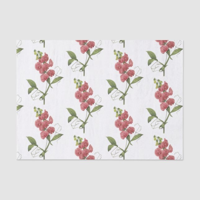 Sweet pea Flower Pattern Tissue Paper (Front)