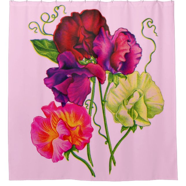 sweet pea flowers in purple and pink print shower curtain (Front)