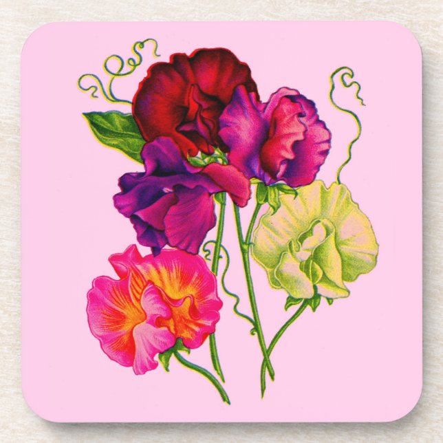 sweet pea in purple and pink coaster (Front)