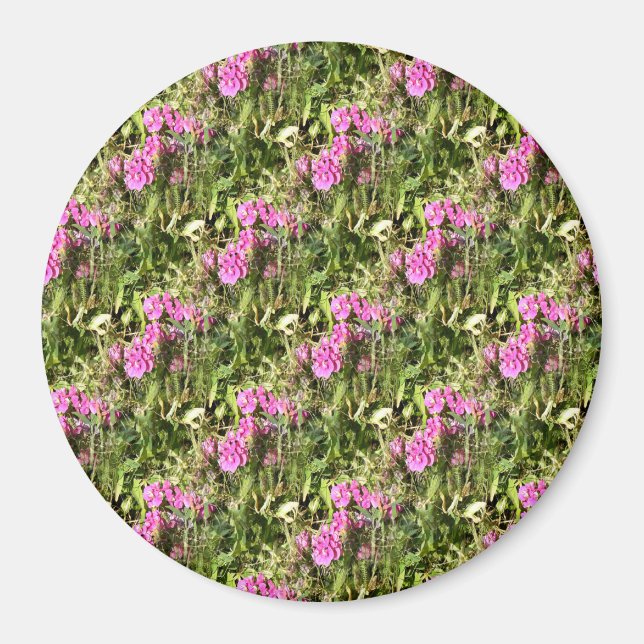 Sweet Pea Lace..... Magnet (Front)