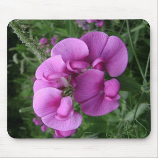 Sweet Pea Mouse Pad