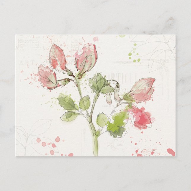 Sweet Pea watercolor Postcard (Front)