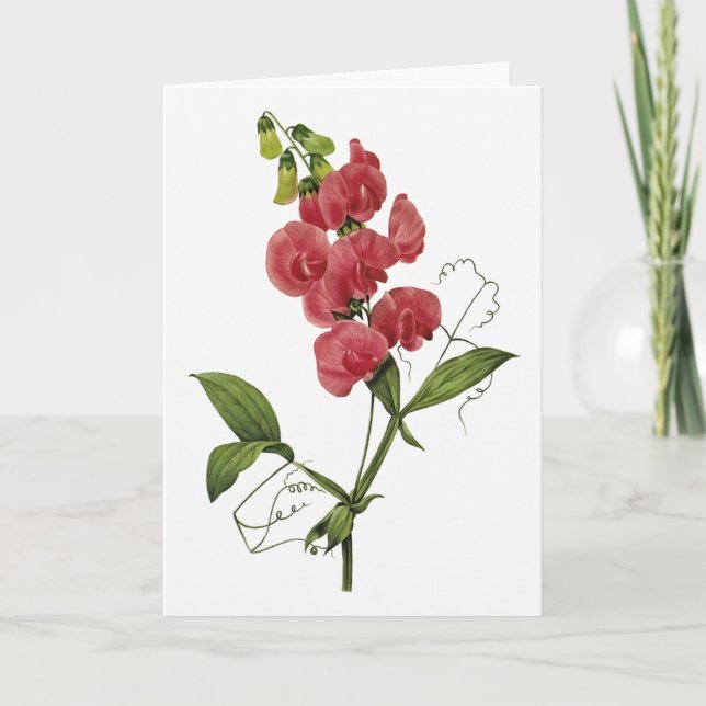 Sweet Pea Watercolor Sympathy Card (Front)