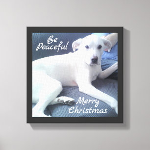 Sweet Peaceful Cute White Dog Sitting With Dad Can Canvas Print