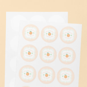 Sweet Peach Elegant Baby Shower Classic Round Sticker
