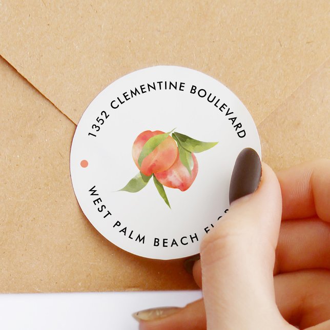 Sweet Peach Theme Return Address Classic Round Sticker (Creator Uploaded)