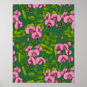 Sweet peas and bumblebees, green and pink poster
