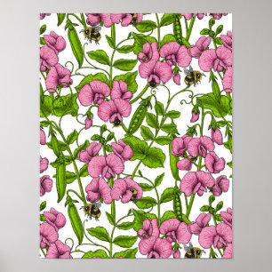 Sweet peas and bumblebees, pink, green and white poster
