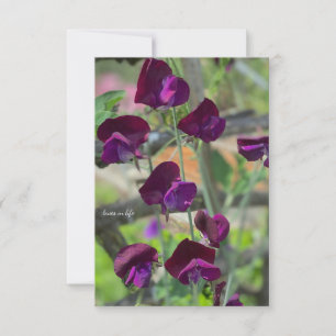 Sweet Peas Card