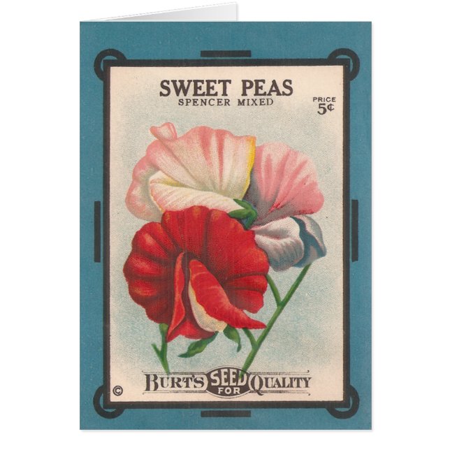 sweet peas card (Front)