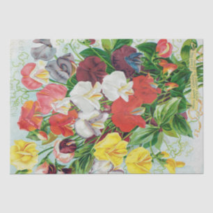 Sweet Peas of 1897 Tissue Paper