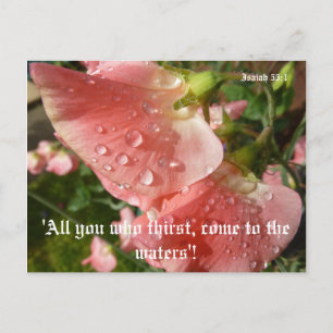 Sweet Peas Postcard