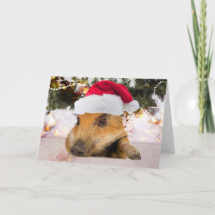 Sweet Pig In Santa Hat Christmas Tree Holiday Card