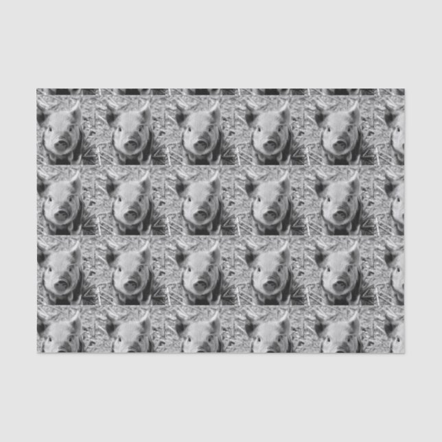 sweet piglet, black white tissue paper (Front)